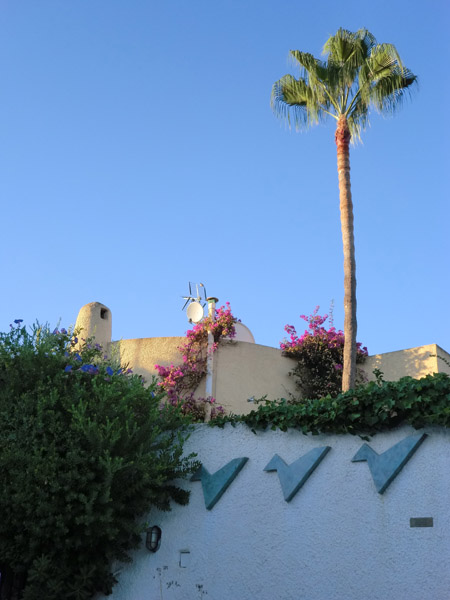 CIMG0062